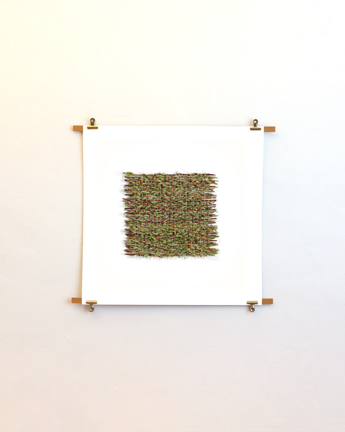 Salix angustifolia - March. Fine art print.