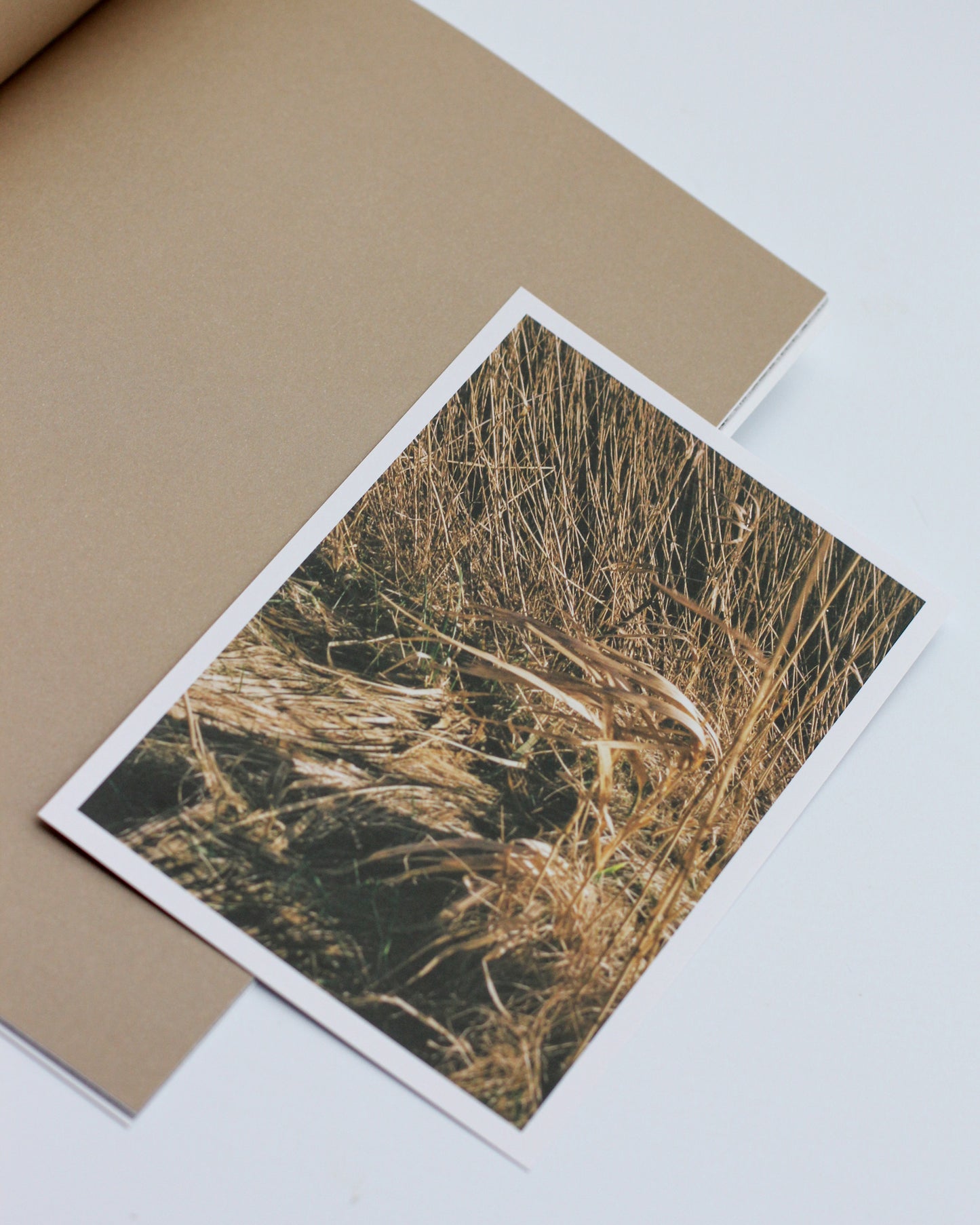 STARLINGS BOOKLET