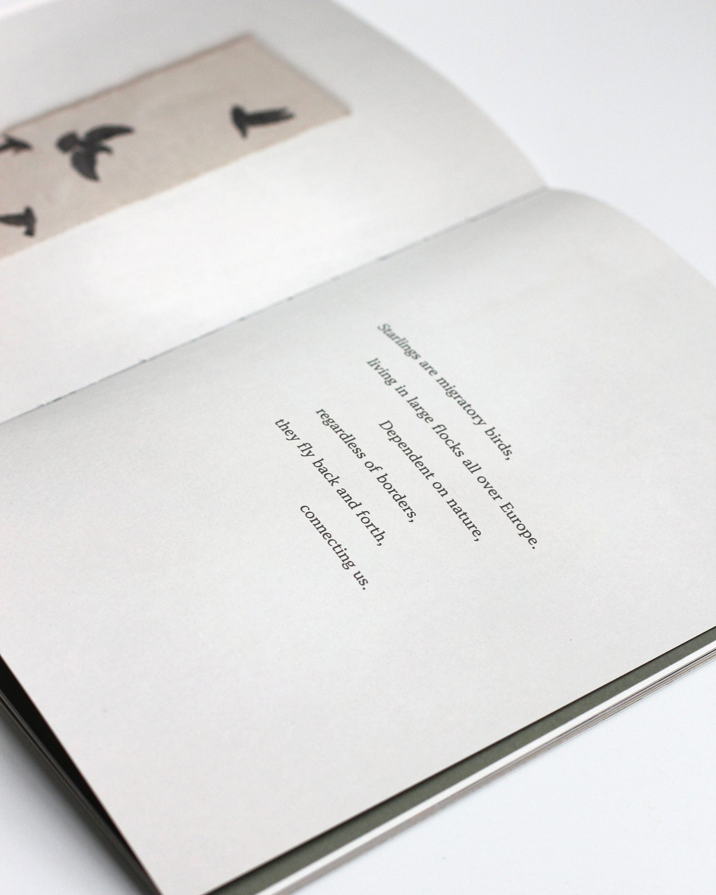 STARLINGS BOOKLET
