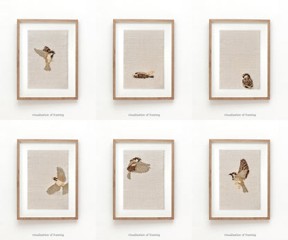 SPARROW #2