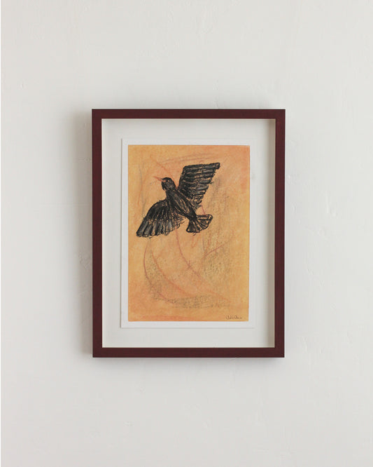 STARLINGS #4