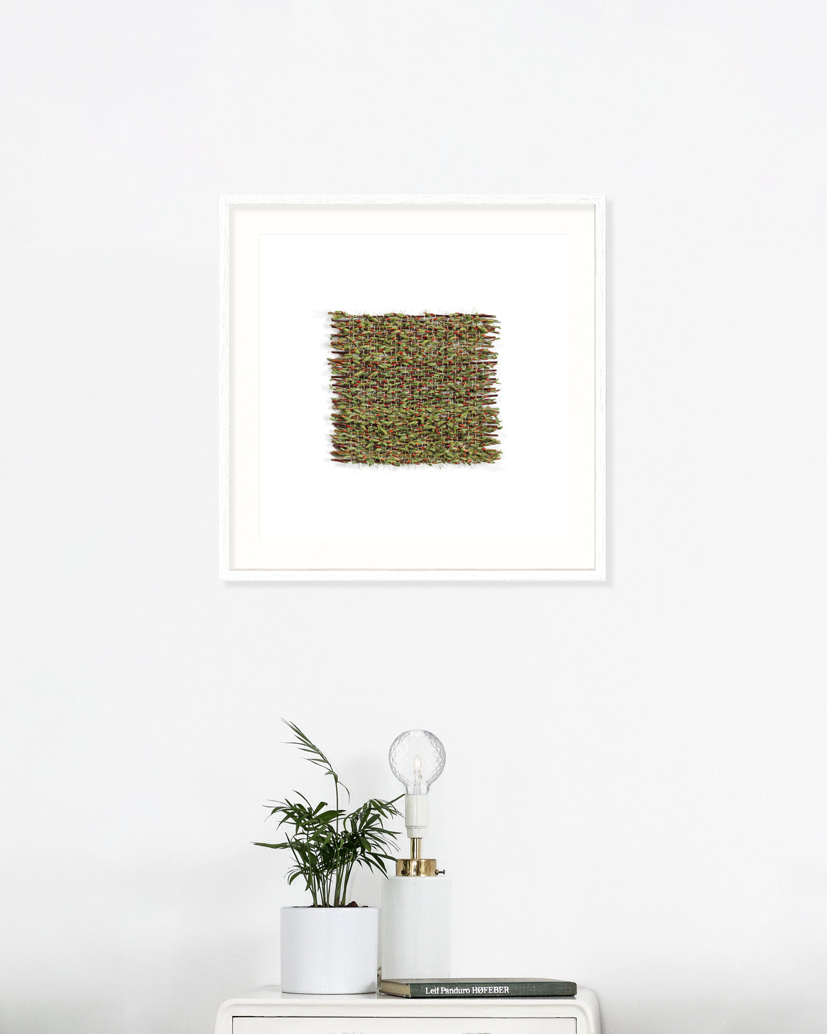 Salix angustifolia - March. Fine art print.