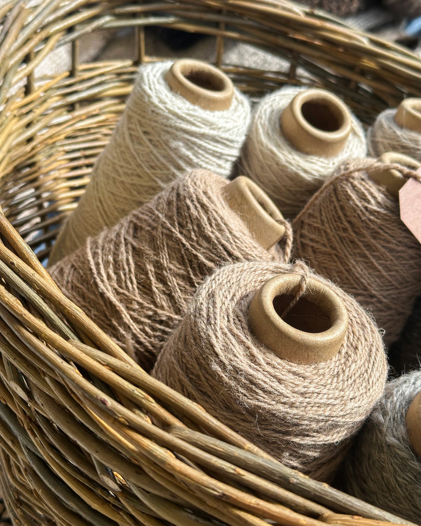 17 januar, 2026 - heldags WORKSHOP hos Det Vilde Spinderi. FÅ PLADSER TILBAGE.