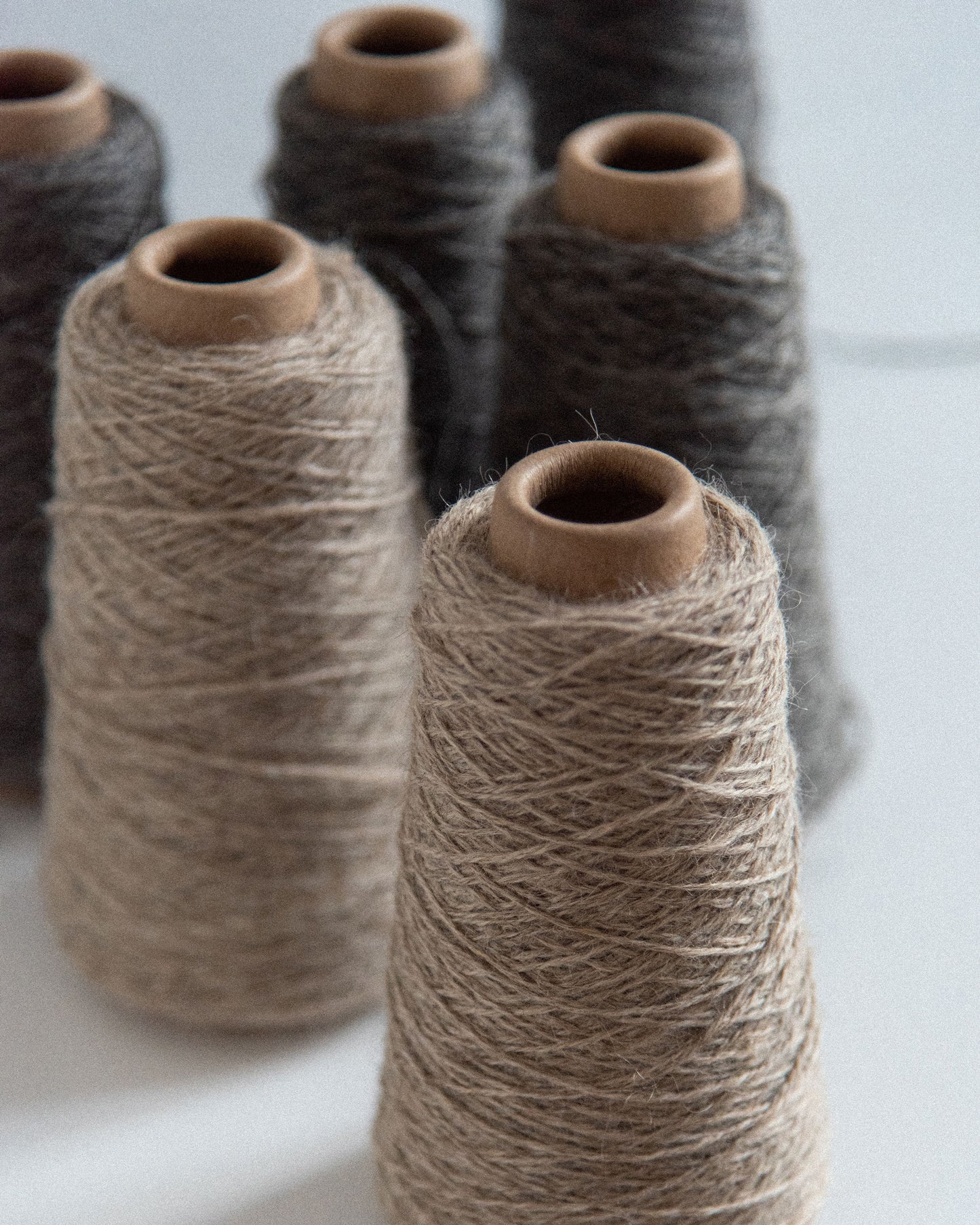 17 januar, 2026 - heldags WORKSHOP hos Det Vilde Spinderi. FÅ PLADSER TILBAGE.