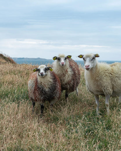 30 maj, 2026. Væve workshop hos Det Vilde Spinderi.