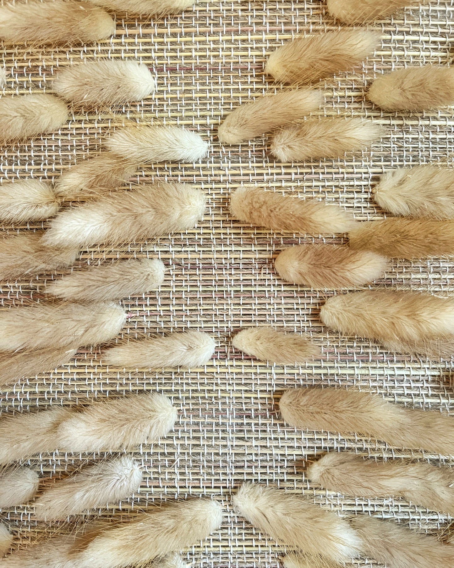 LAGURUS