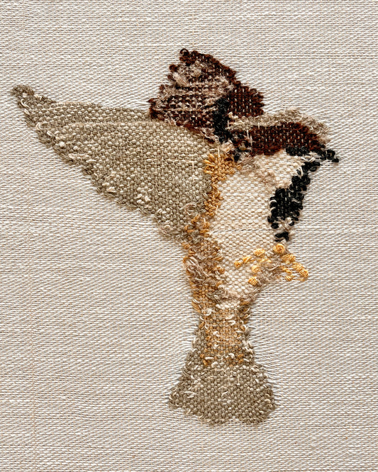SPARROW #1