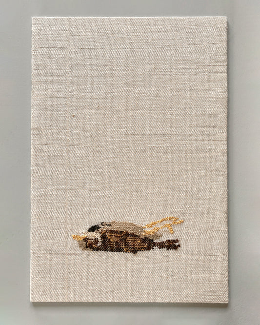 SPARROW #2