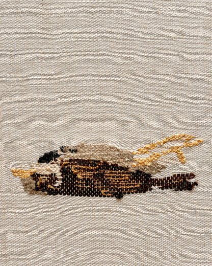 SPARROW #2