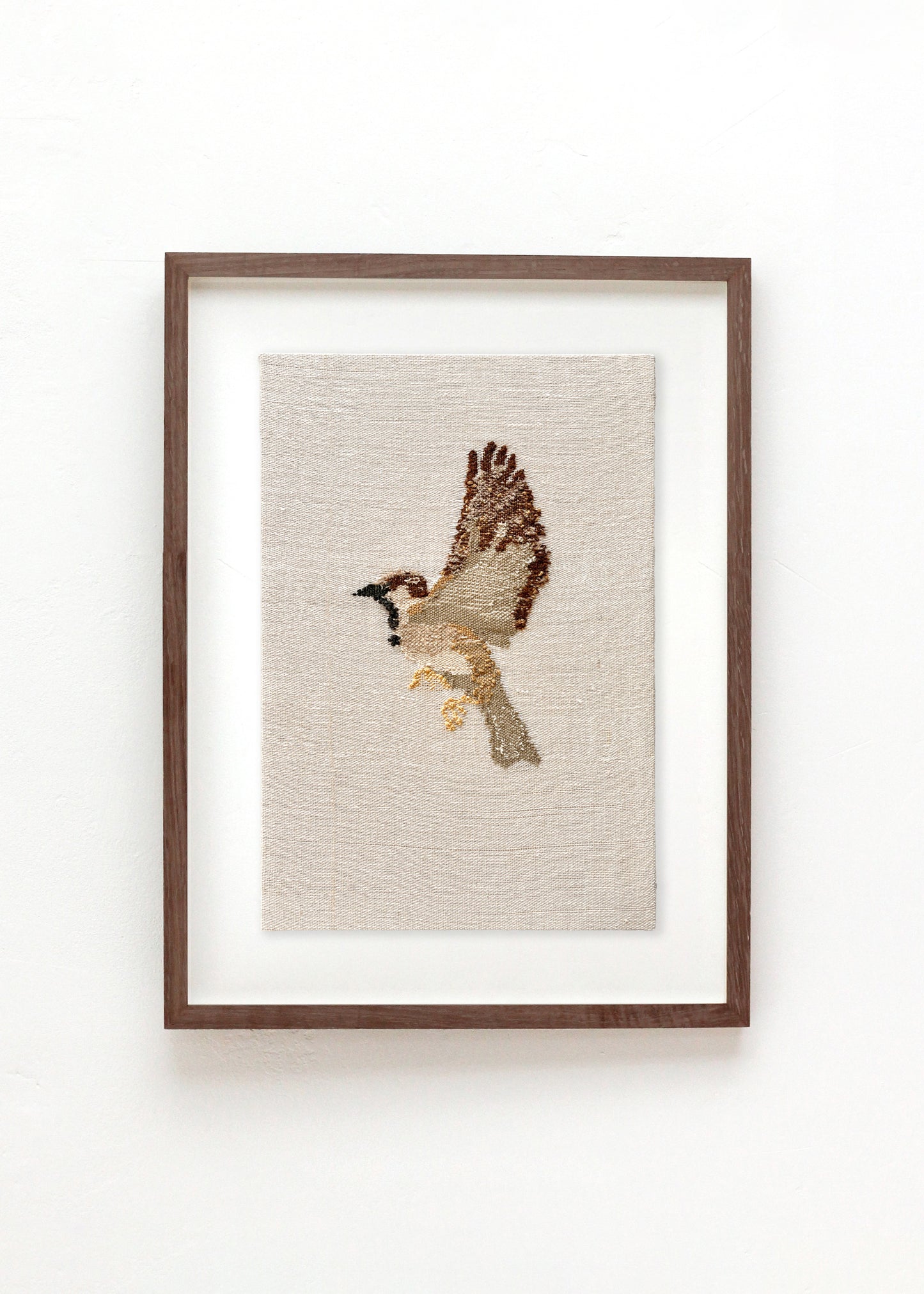 SPARROW #6