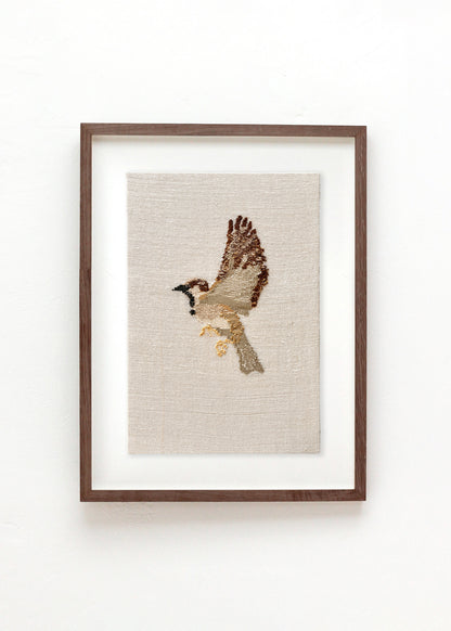 SPARROW #6